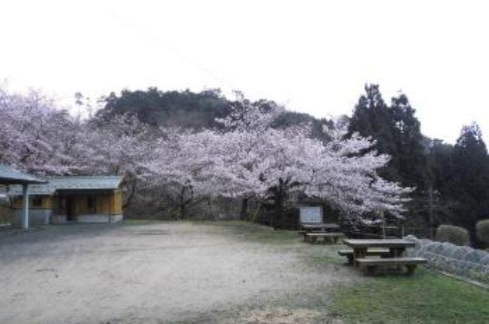 野坂いこいの森