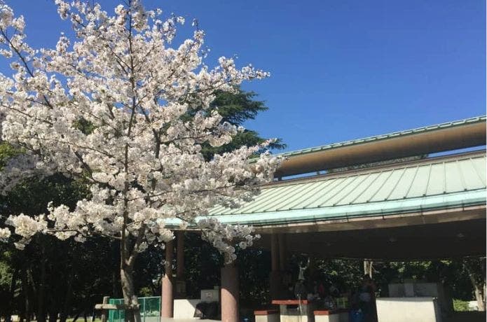 GoodBBQ 服部緑地バーベックマルシェ
