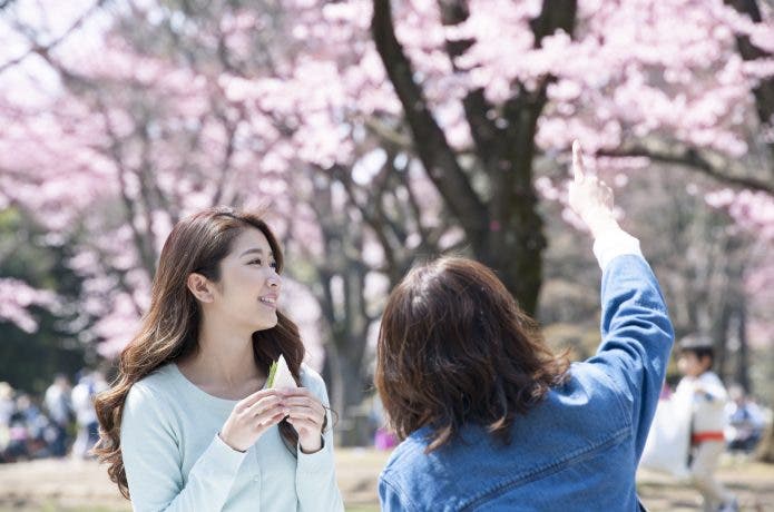 桜の下で食事をする女性たち