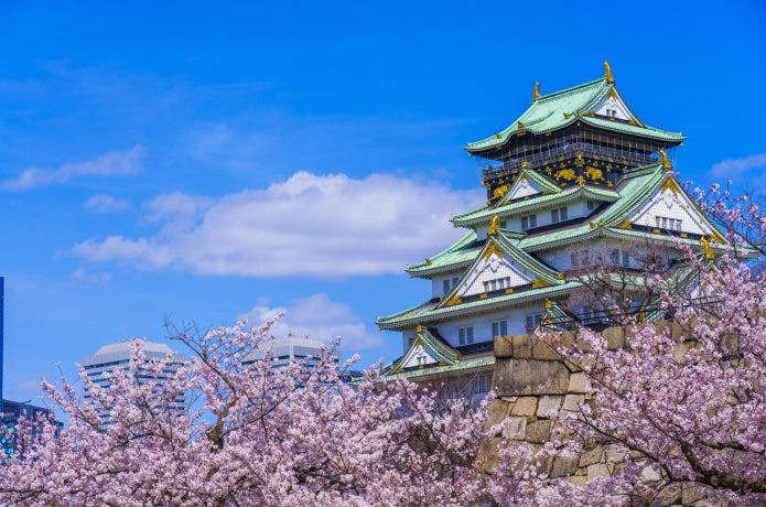 城と桜