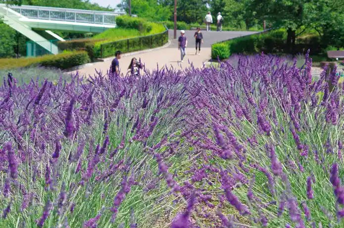 荒子川公園デイキャンプ場